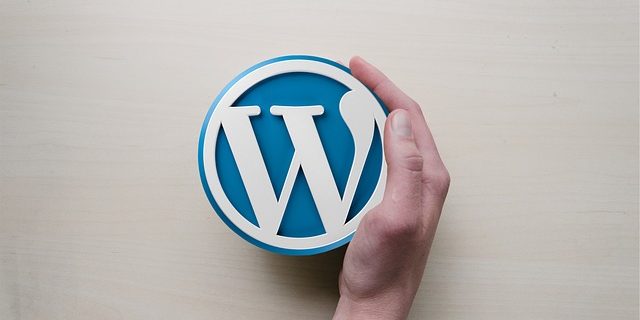 como contratar um desenvolvedor wordpress